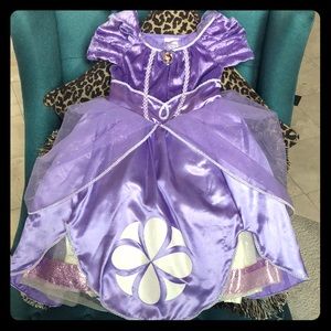 Disney Sofia The First Princess dress Party costum